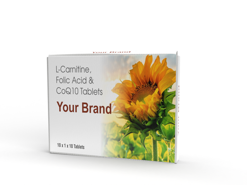 L-Carnitine With Folic Acid And COQ10 Tablet