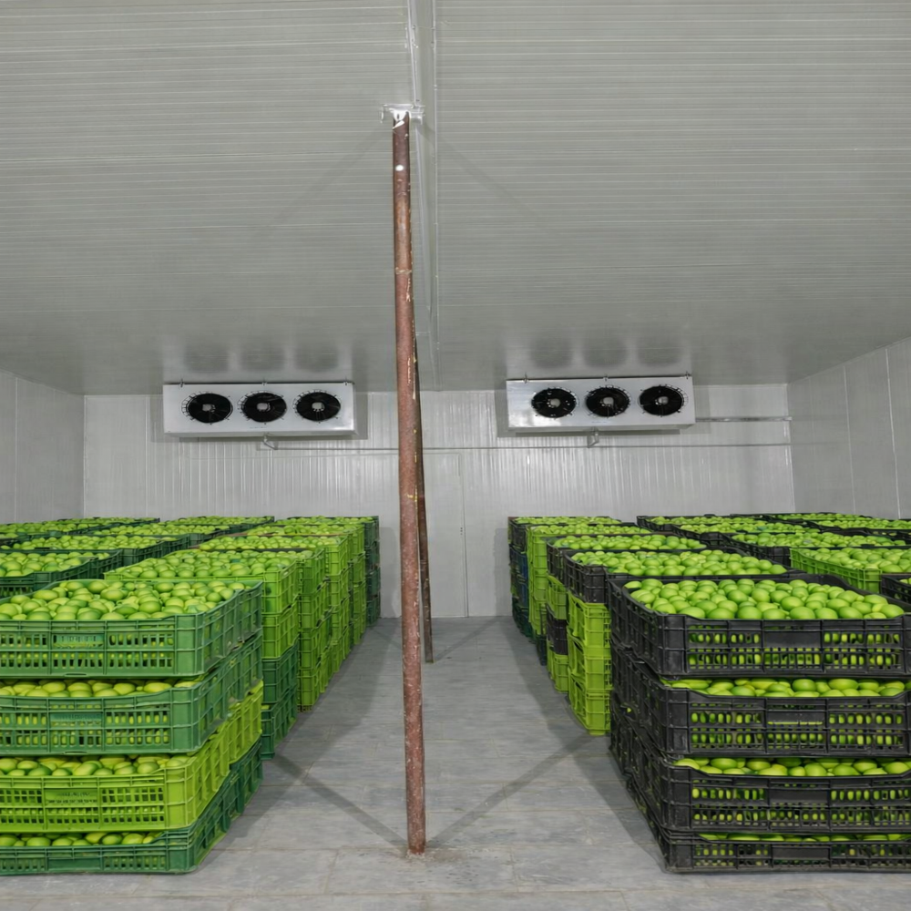 Lemon and Chilly cold storage