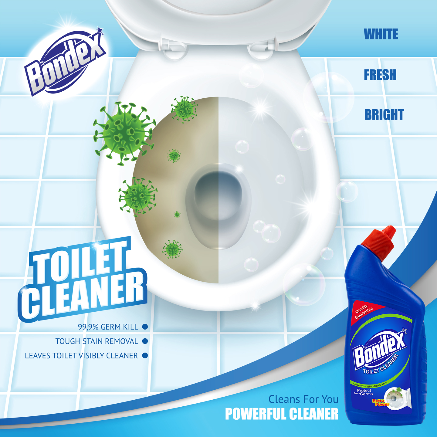 Liquid Toilet Cleaner