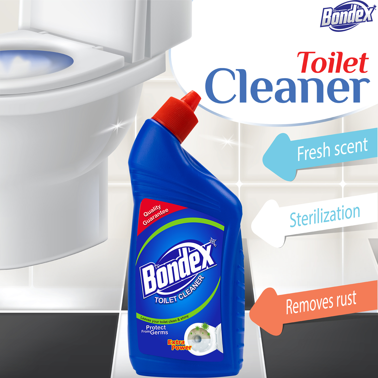 Liquid Toilet Cleaner