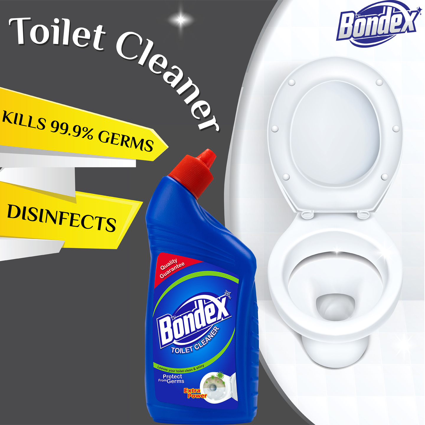 Liquid Toilet Cleaner