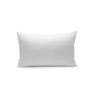 Super Plush Pillow