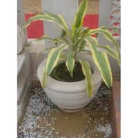 Outdoor Stone Pot - Premium Polished Antique Finish | Customized Sizes In Elegant Quality