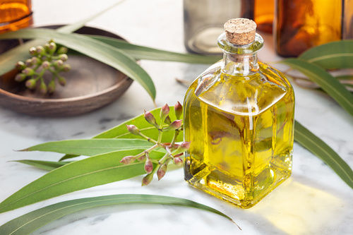 Eucalyptus Oil