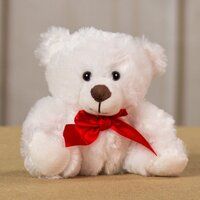 TEDDY BEAR SOFT TOYS