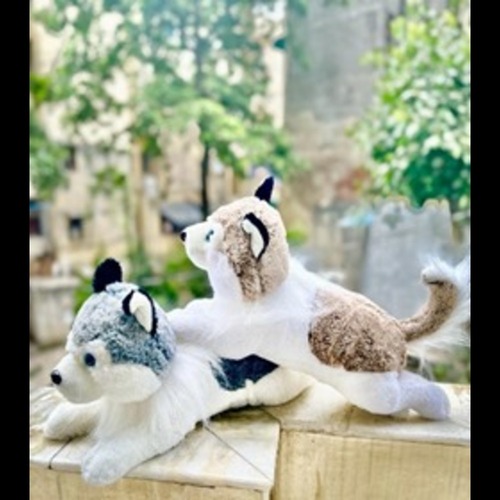 Multicolor Animal Soft Toys