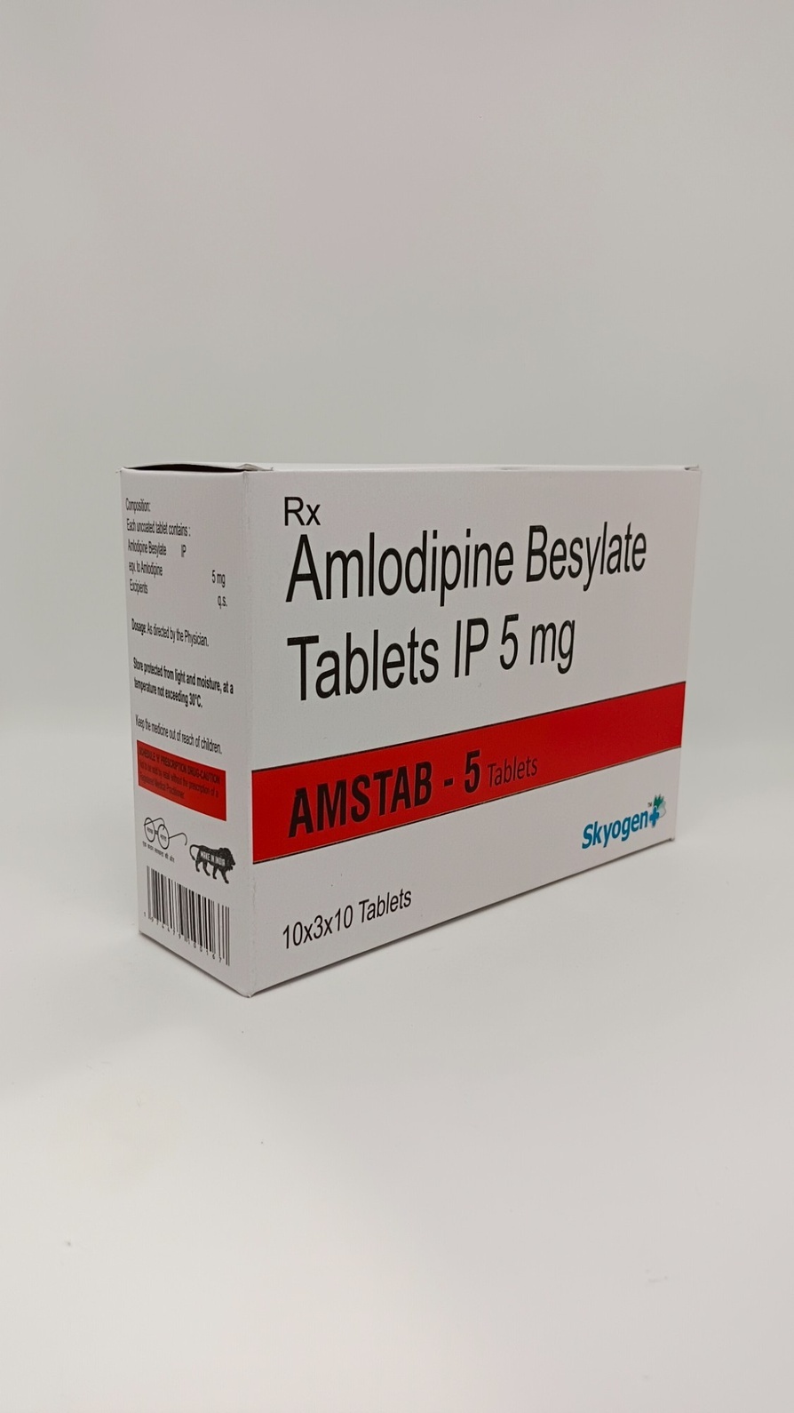 AMSTAB 5