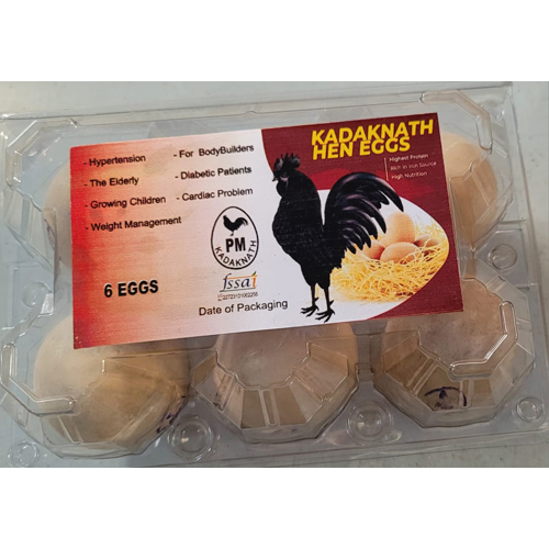 Kadaknath Hen 6 Eggs