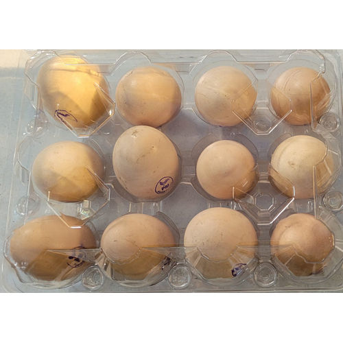 12 Eggs Tray Egg Origin: Chicken