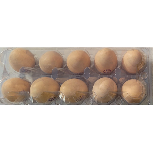 10 Eggs Tray