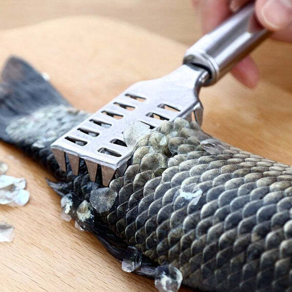 FISH SCALE REMOVER SCRAPER STAINLESS STEEL FISH CUTTING  (2194)