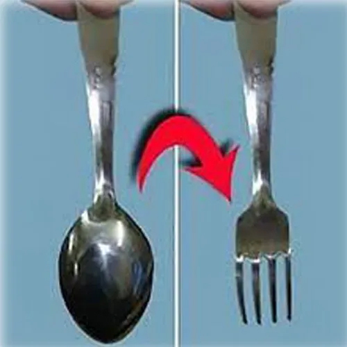 Spoon To Fork Magic