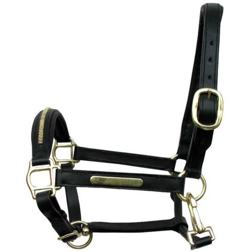 Black Leather Horse Halter