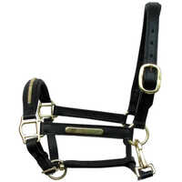 Black Leather Horse Halter