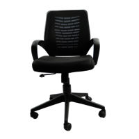 Adhunika Revolving Office Chair With Cushion Seat
