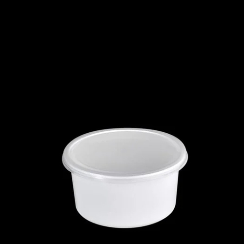 Container 250 ml