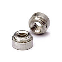 Silver Ms Clinch Nut