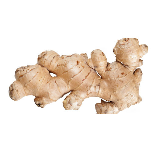 Fresh Ginger And Garlic