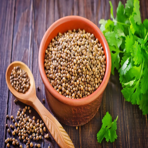 Dried Coriander Seed