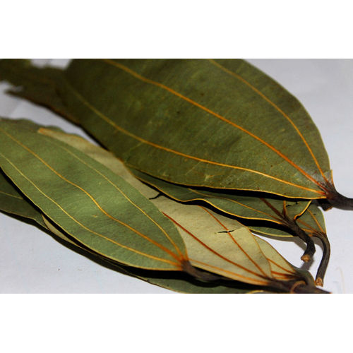 Green Bay Leaf