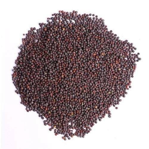 Organic Mustard Seeds