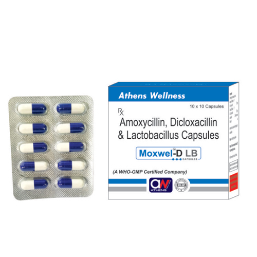 Amoxycillin Dicloxacillin And Lactobacillus Capsules General Medicines