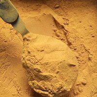 Natural Haldi Powder