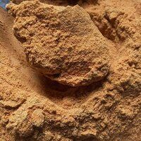 Natural Dhania Powder