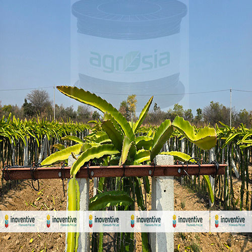4.0mm Agrosia Pet Wire for Double Trellis system for Dragon Fruit
