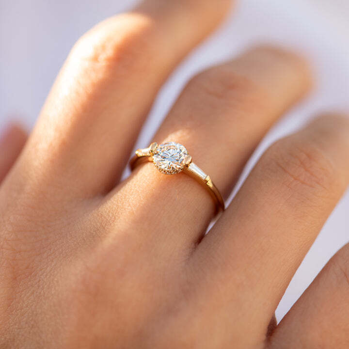 1CT Round Lab Grown Brilliant Cut Engagement Ring with a Pave Diamond Halo ring