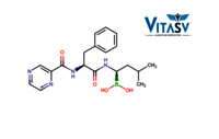 Bortezomib API