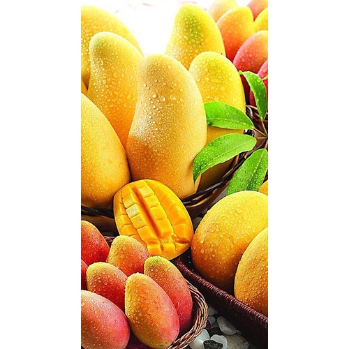 Mango Pulp