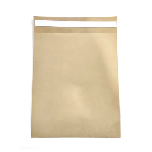 Ecommerce Paper Courier Bag