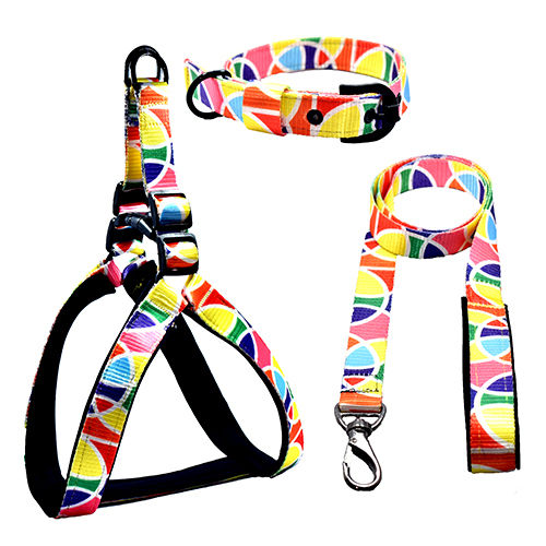 Abstract Pattern-5 Harness Set