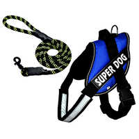 Blue Harness Set Application: Dog