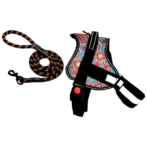 Abstract-1 Harness Set