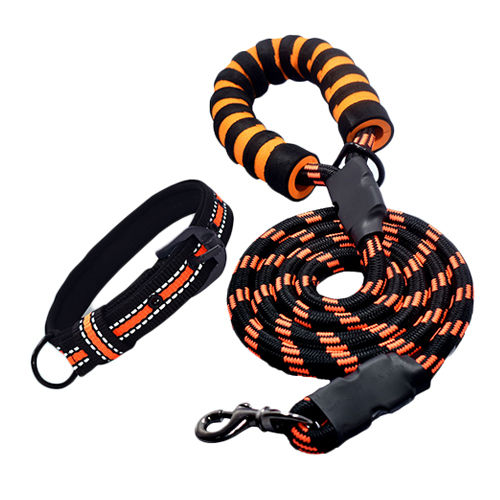 Dog Leash