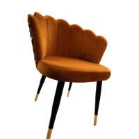 Adhunika Cafe Furniture Chair -Yellow