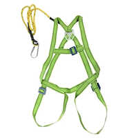 Safety Belt/ Harness Single Rope Scaffold Hook Full Body - Durable Polyester Material, Unisex Design, Reusable With Warranty - Ideal For Commercial Use