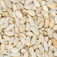 Muskmelon Seed