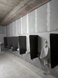 Urinal Partitions