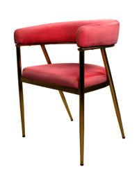 Adhunika Cafe Chair(Pink)