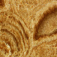 Cappuccino Onyx Marble - Color: Brown