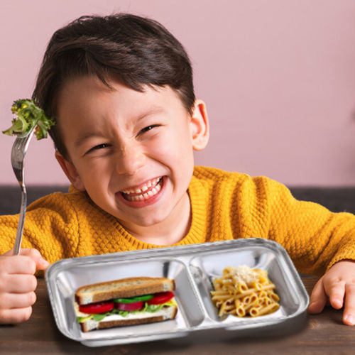 STAINLESS STEEL COMPARTMENT DISH