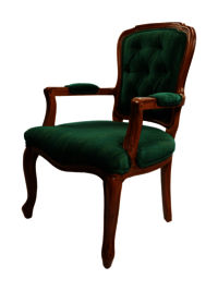 Adhunika Wooden Visitor Chair (Green)