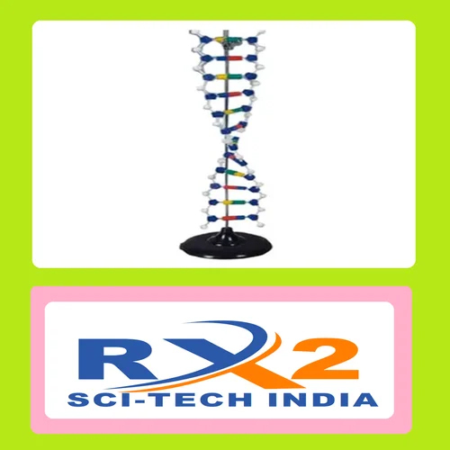 DNA Structure Simulation Kit