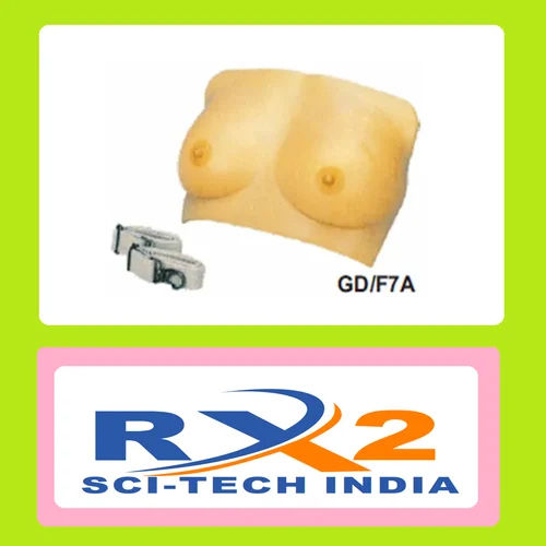 Breast Examination Model For Medical Student