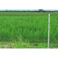 Diamond Fencing Net with Edge