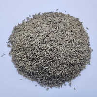 Common Srk Classic Cumin Seed