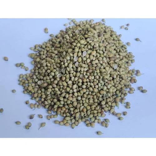 SRK Premium Whole Coriander Seed